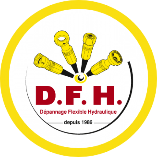 Logo DFH