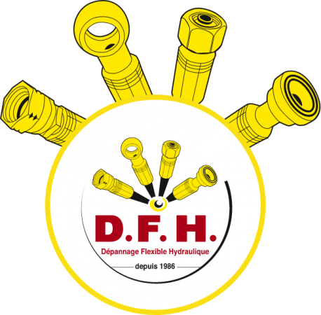 Logo DFH